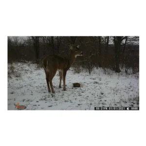 Wildgame Wraith 18 Game Camera